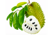 Sour Sop Tea